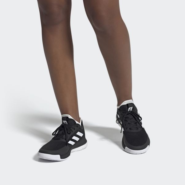 Adidas Crazyflight Volley Chaussures Noir