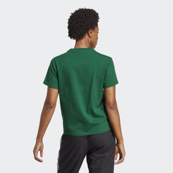Adidas Adicolor Classics T-shirt Trèfle Vert Foncé
