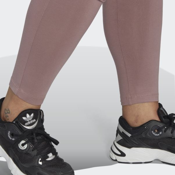 Collant Adidas Violet Adicolor Essentials (grande Taille)