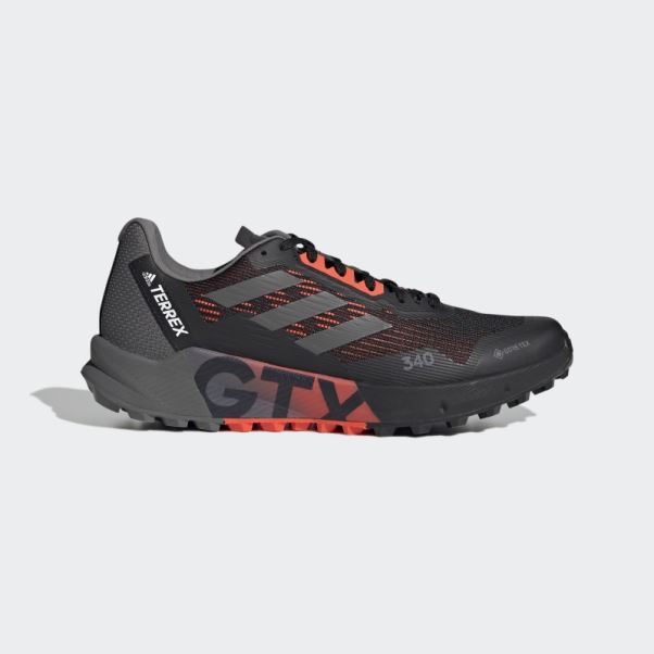 Chaussures De Course Sur Sentier Adidas Terrex Agravic Flow 2.0 Gore-tex Blanc