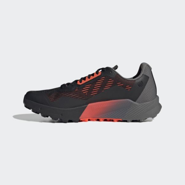 Chaussures De Course Sur Sentier Adidas Terrex Agravic Flow 2.0 Gore-tex Blanc