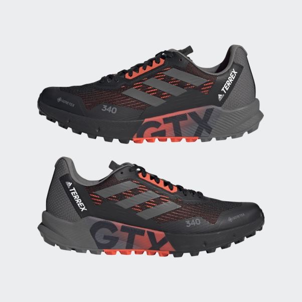Chaussures De Course Sur Sentier Adidas Terrex Agravic Flow 2.0 Gore-tex Blanc
