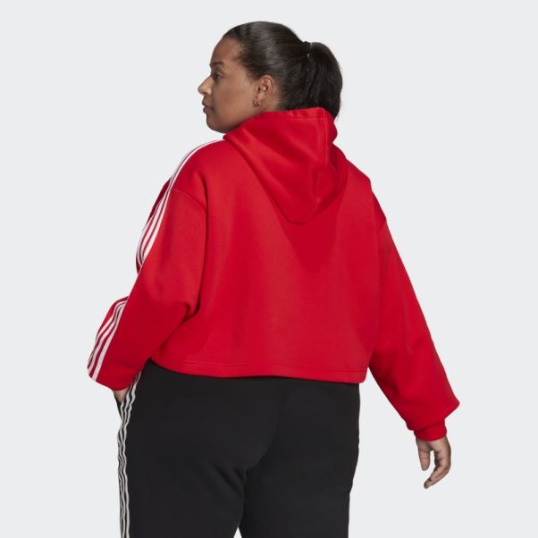 Sweat à Capuche Adicolor Classics (taille Plus) Rouge Adidas