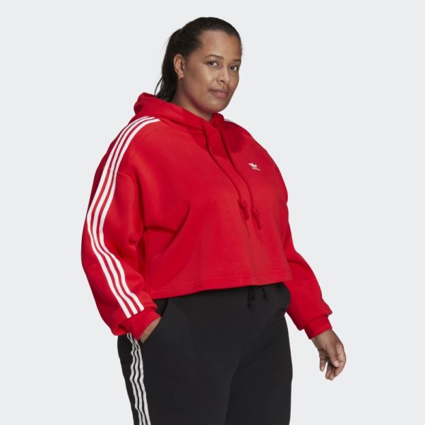 Sweat à Capuche Adicolor Classics (taille Plus) Rouge Adidas