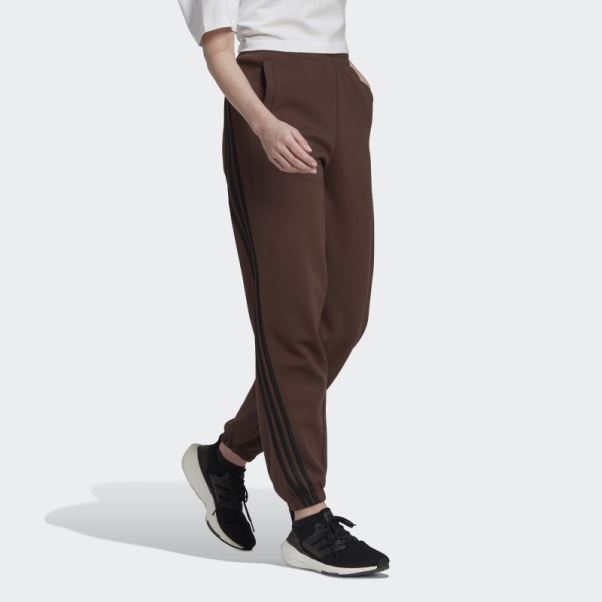 Pantalon Adidas Future Icon à 3 Bandes Marron