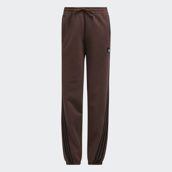 Pantalon Adidas Future Icon à 3 Bandes Marron