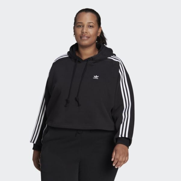 Sweat à Capuche Adicolor Classics (taille Plus) Adidas Noir