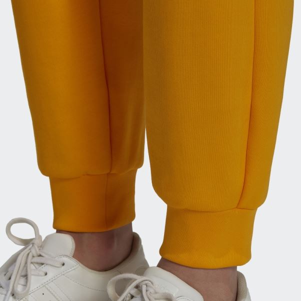 Pantalon De Jogging Adicolor Neuclassics Doré Adidas