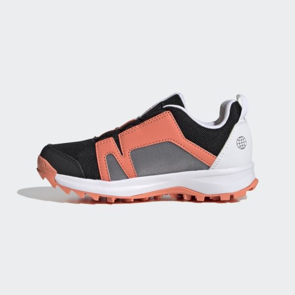 Adidas Terrex Agravic Boa Chaussures De Course Sur Sentier Noir