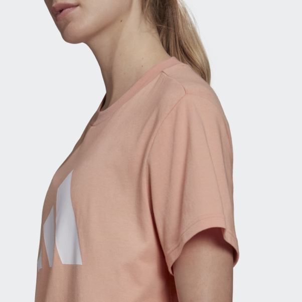 Blush Ambiant Adidas Future Icons Logo T-shirt Graphique Mode