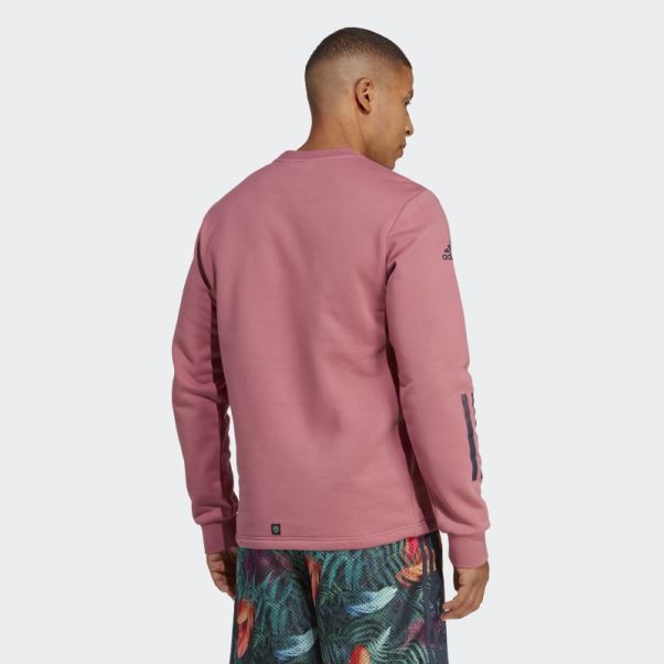 Sweat Adidas All Blacks Rugby Lifestyle Ras Du Cou Rose