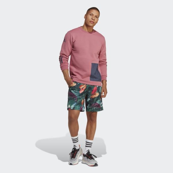 Sweat Adidas All Blacks Rugby Lifestyle Ras Du Cou Rose