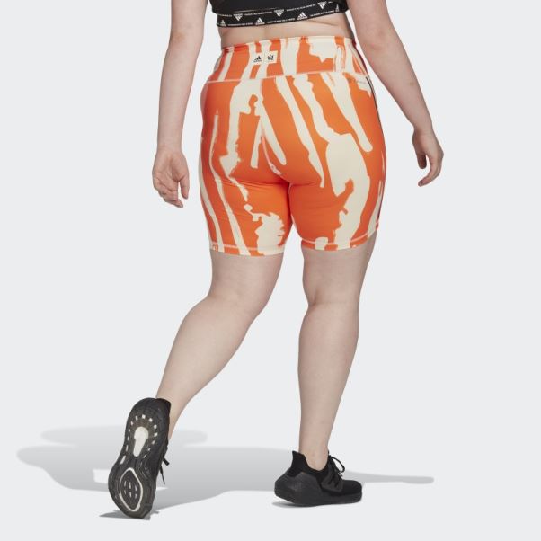 Short De Cycliste Adidas Ecru Tint Thebe Magugu (grande Taille)