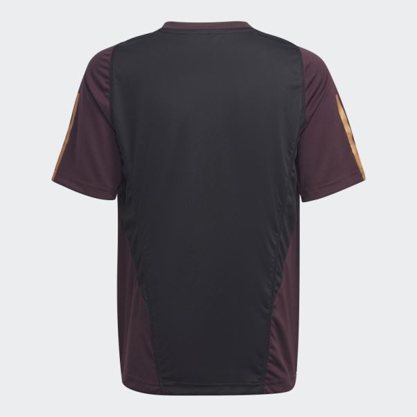 Maillot D'entraînement Adidas Allemagne Tiro 23 Bordeaux