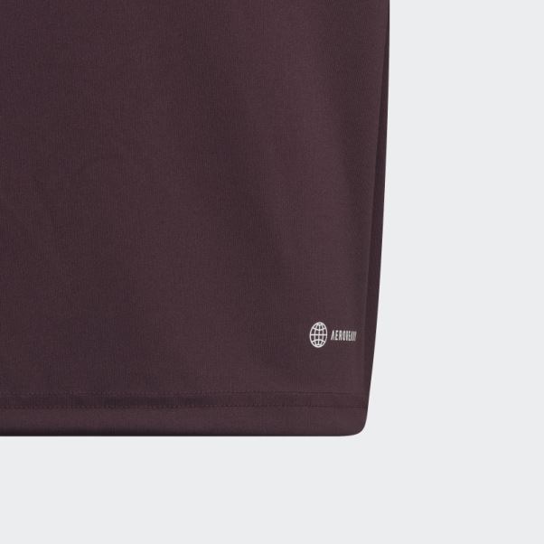 Maillot D'entraînement Adidas Allemagne Tiro 23 Bordeaux