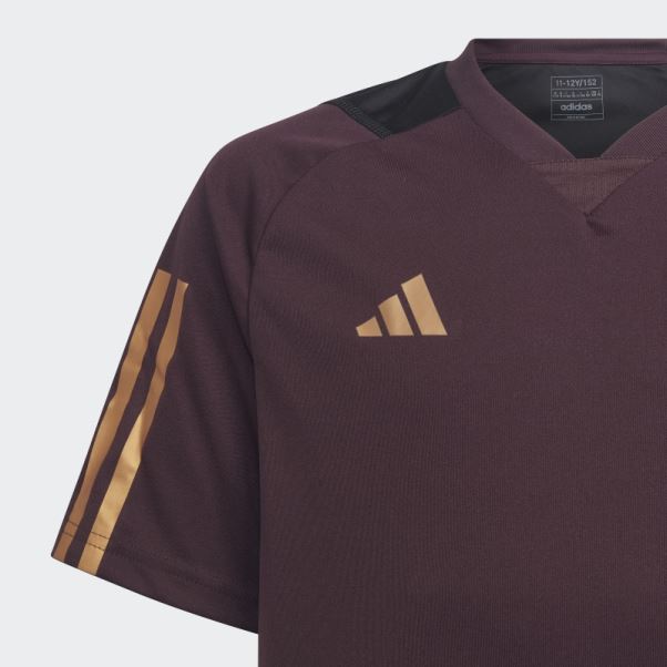 Maillot D'entraînement Adidas Allemagne Tiro 23 Bordeaux