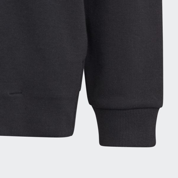 Sweat à Capuche Avec Logo Future Icons Adidas Noir