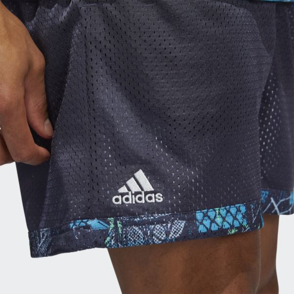 Dame D.o.l.l.a. Short Adidas Multicolore