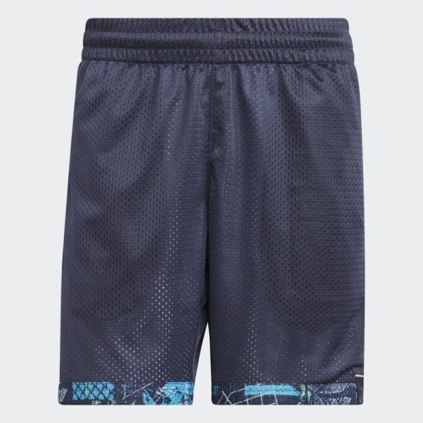 Dame D.o.l.l.a. Short Adidas Multicolore