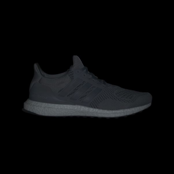 Chaussures Adidas Ultraboost 1.0 Grises