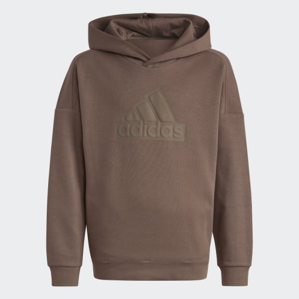 Adidas Sweat à Capuche Logo Earth Future Icons