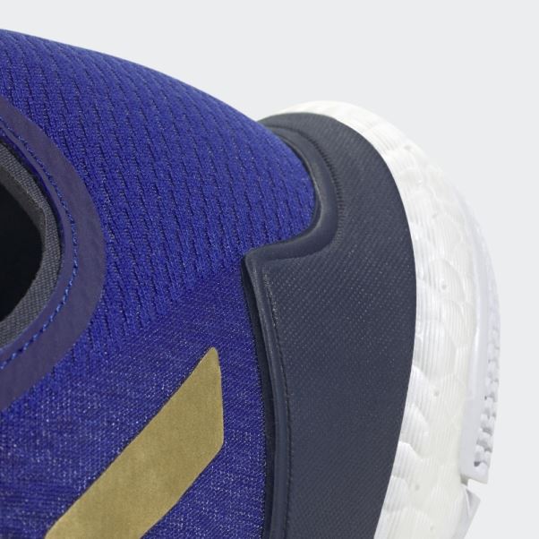 Chaussures Crazyflight Bleu Adidas