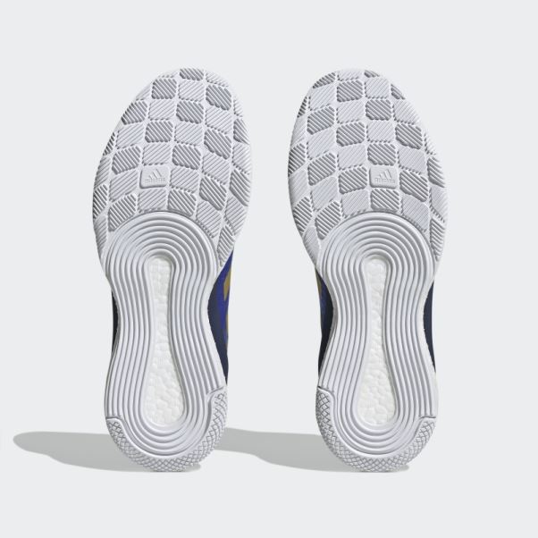 Chaussures Crazyflight Bleu Adidas