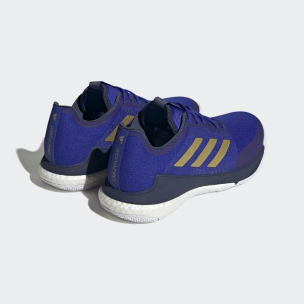 Chaussures Crazyflight Bleu Adidas