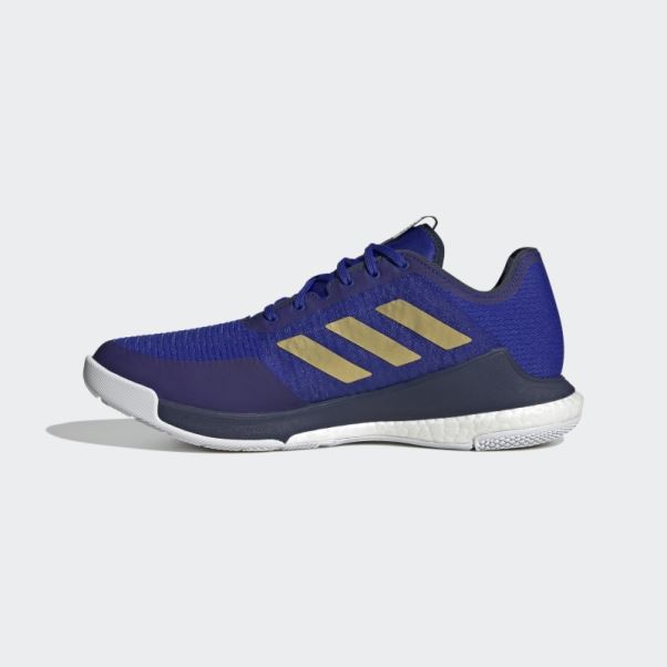 Chaussures Crazyflight Bleu Adidas