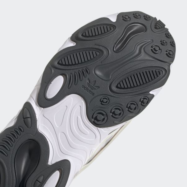 Chaussures Adidas Oznova Non Teintes