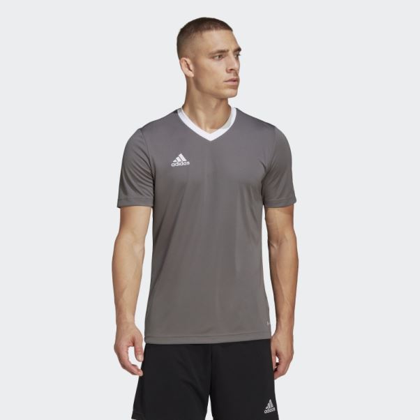 Maillot Adidas Entrada 22 Gris