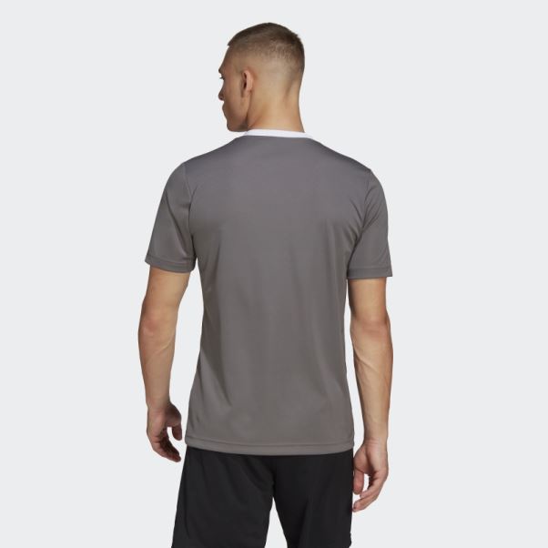 Maillot Adidas Entrada 22 Gris
