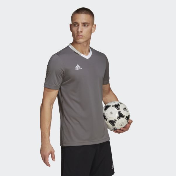 Maillot Adidas Entrada 22 Gris