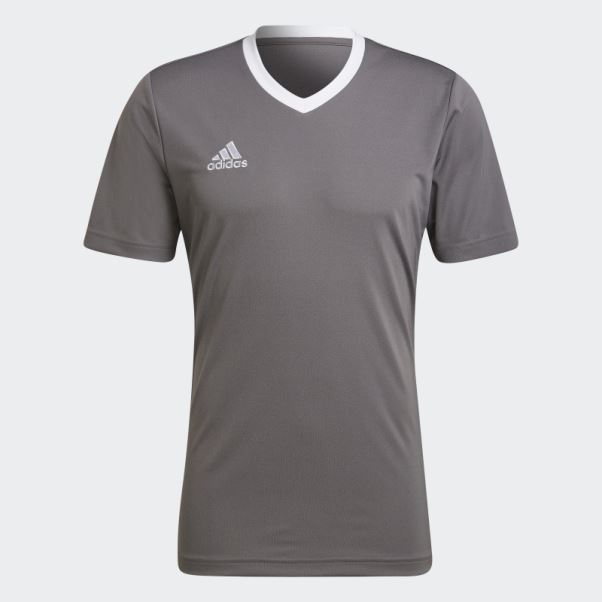 Maillot Adidas Entrada 22 Gris