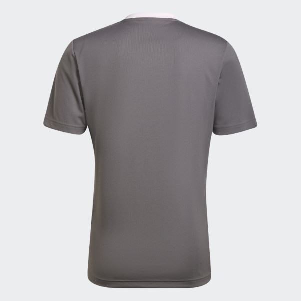 Maillot Adidas Entrada 22 Gris