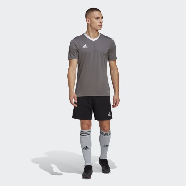 Maillot Adidas Entrada 22 Gris