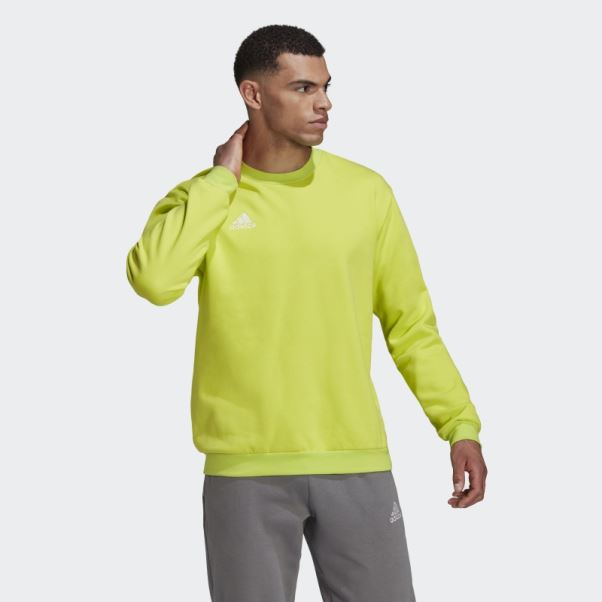 Entrada 22 Sweat Sol Jaune Adidas Mode