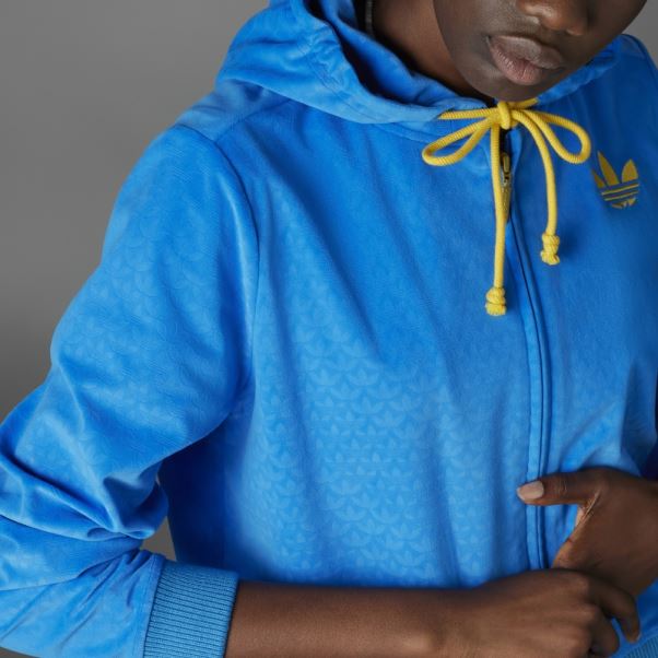 Oiseau Bleu Adicolor Heritage Now Sweat à Capuche Zippé En Velours Adidas