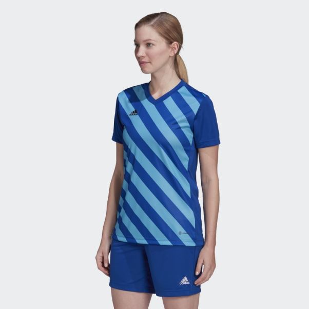 Maillot Graphique Adidas Entrada 22 Bleu Royal