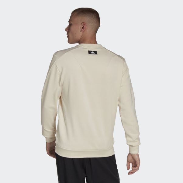 Future Icons Crew Sweat Adidas Blanc
