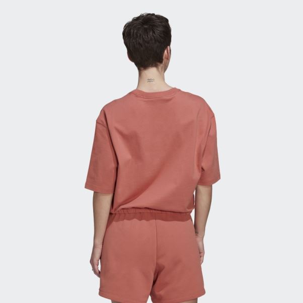 Adidas Adicolor Contempo Tee Terre