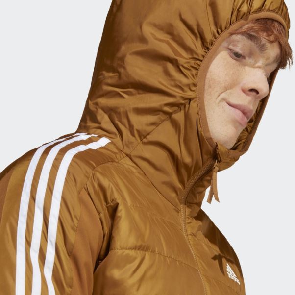 Veste Hybride à Capuche Isolée Essentials Bronze Adidas