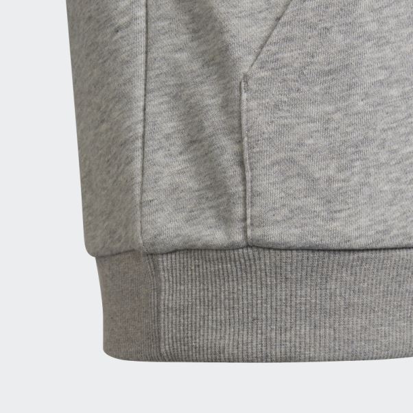 Sweat à Capuche Adidas Essentials Gris Moyen