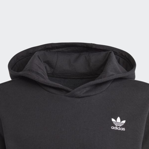 Adicolor Sweat à Capuche Adidas Blanc
