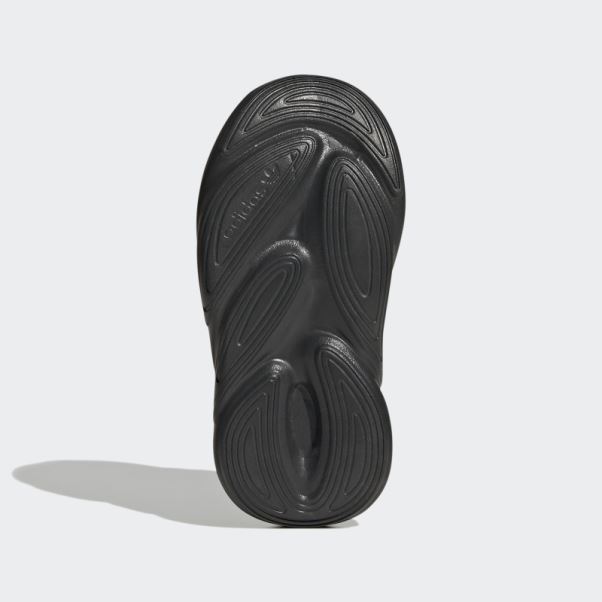 Chaussures Ozelia Adidas Carbone