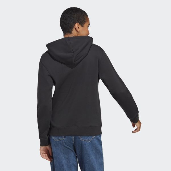 Sweat à Capuche Adidas Essentials Big Logo Regular En Tissu éponge Noir