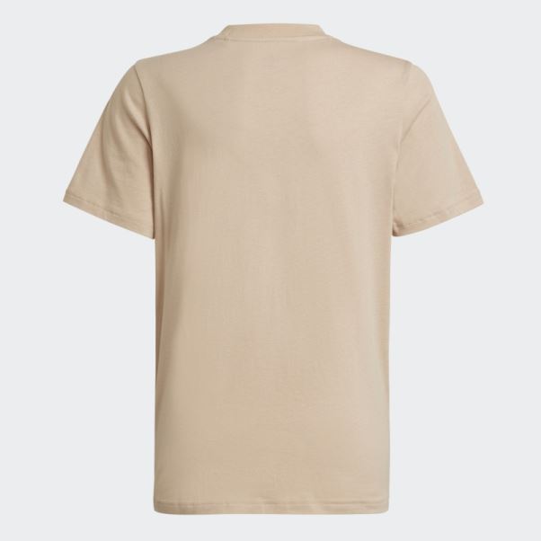Tee Shirt Adicolor Beige Adidas