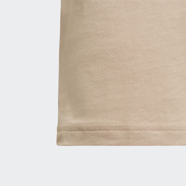Tee Shirt Adicolor Beige Adidas