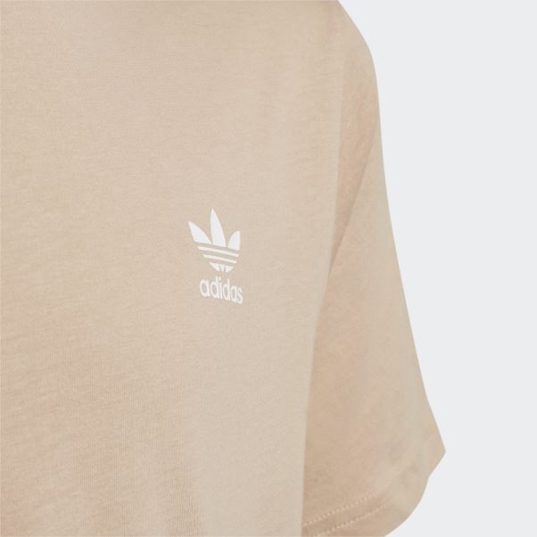 Tee Shirt Adicolor Beige Adidas