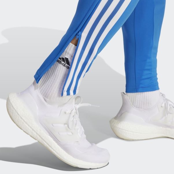 Adidas Fc Bayern Condivo 22 Pantalon De Survêtement D'entraînement Royal